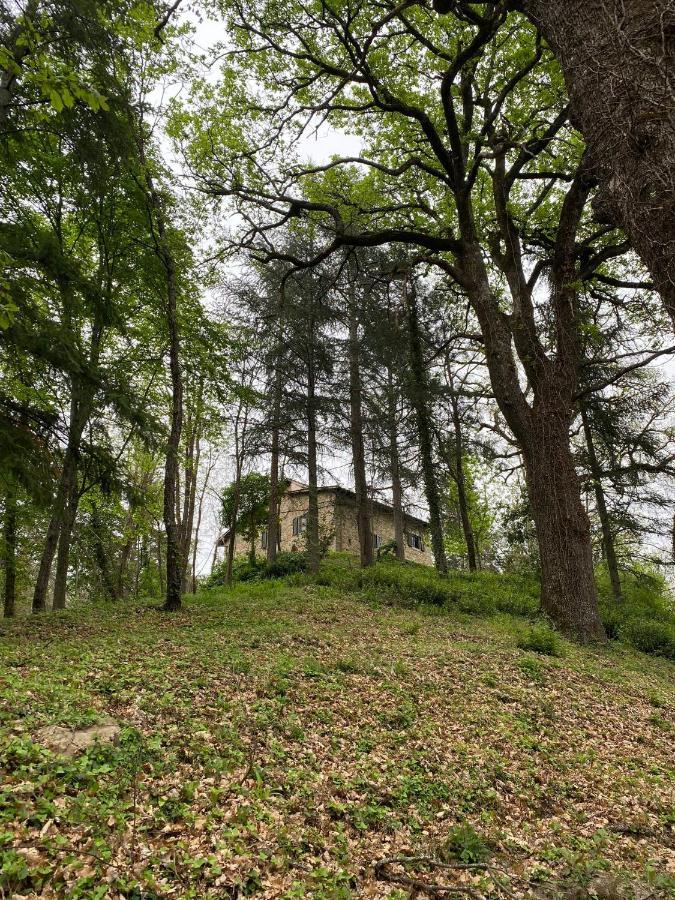 Naturemugello Oasi Naturista Dicomano Buitenkant foto